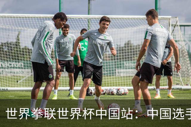 世界拳联世界杯中国站：中国选手斩获5金